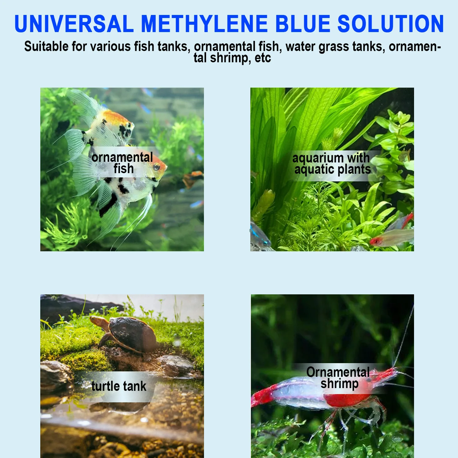 Methylenblau-Aquarium-Fischbeh – Marine Aquarium Bacteria Bewertung und Preis