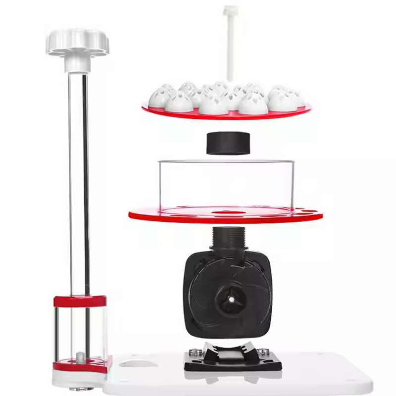 110-240V Roter Seestern-Aquari – Marine Aquarium Protein Skimmer Bewertung und Preis