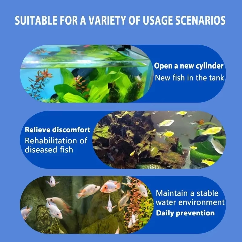 SIKEZHAN Behandlung von Fische – Marine Aquarium Bacteria Bewertung und Preis