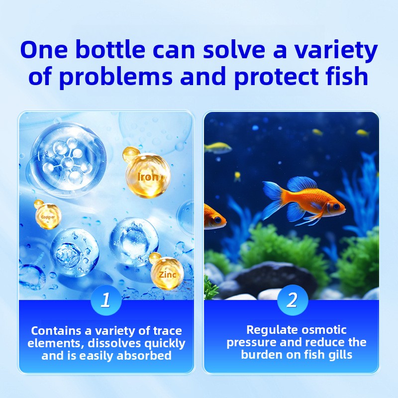 HUACHU Aquariumsalz für Süßwas – Marine Aquarium Bacteria Bewertung und Preis