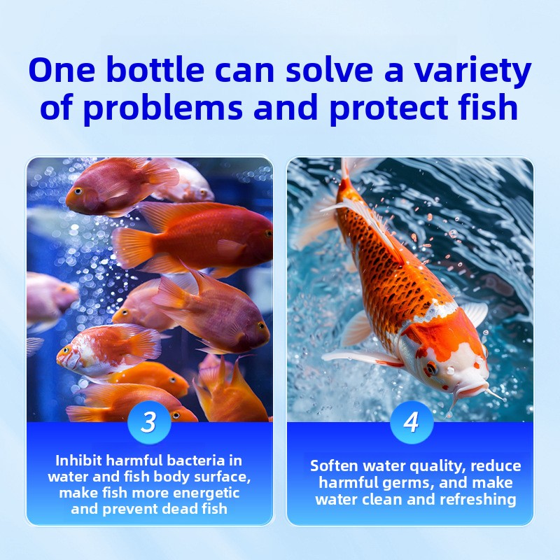 HUACHU Aquariumsalz für Süßwas – Marine Aquarium Bacteria Bewertung und Preis