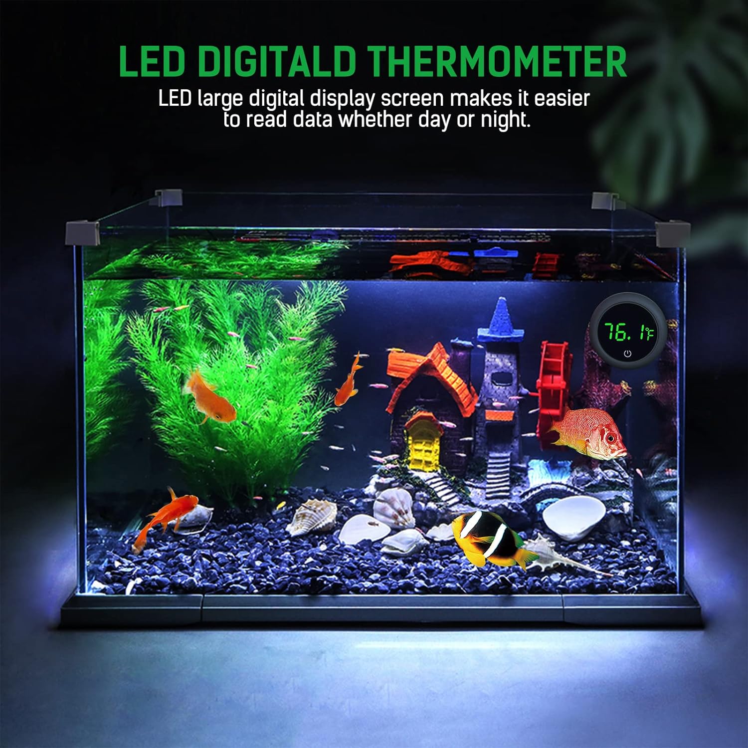 LED-Digital-Aquarium-Thermomet – Marine Aquarium Temperature Bewertung und Preis