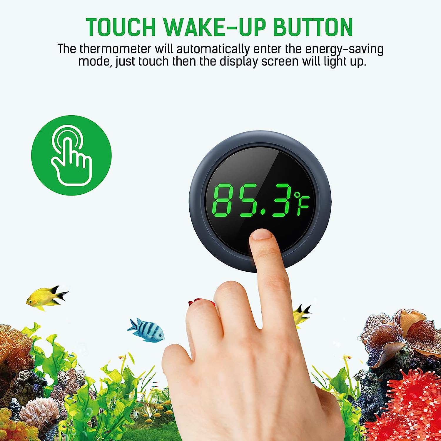 LED-Digital-Aquarium-Thermomet – Marine Aquarium Temperature Bewertung und Preis