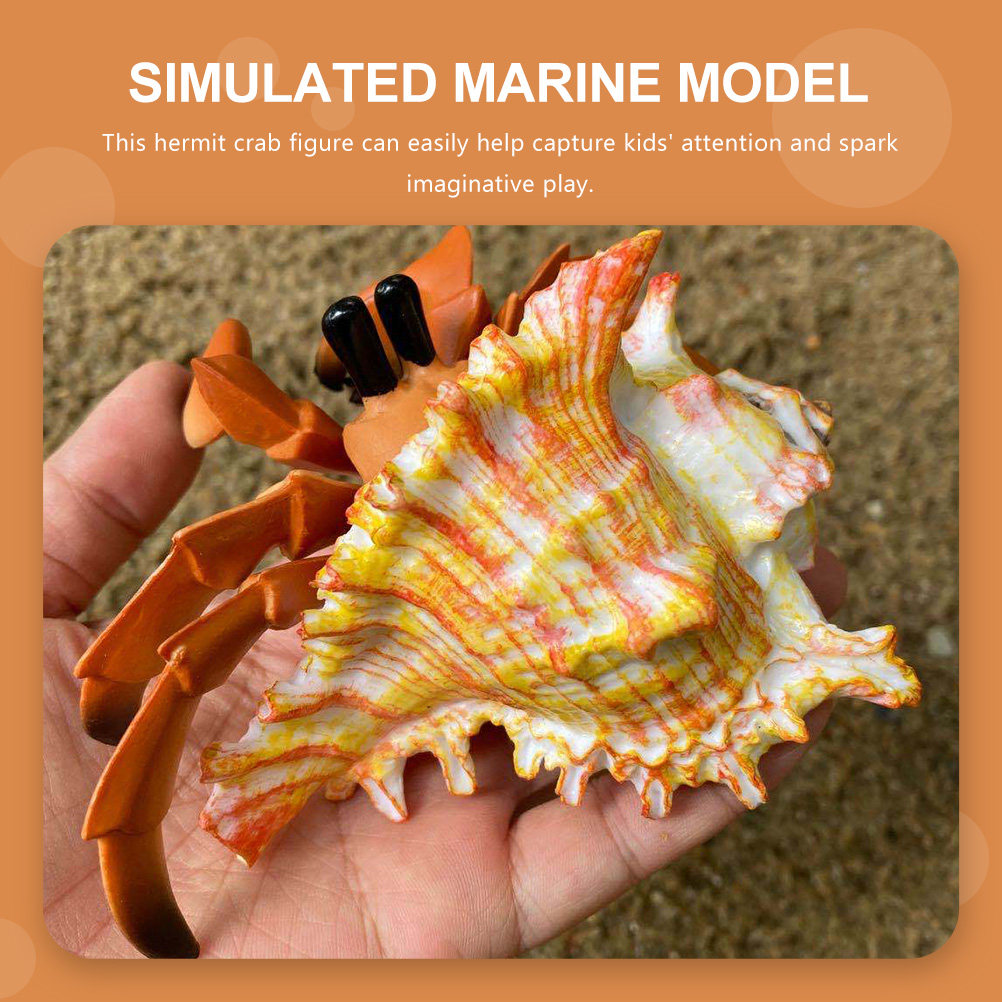 Simulierte Hermitkrabbe Paguri – Marine Aquarium Hermit Crab Bewertung und Preis