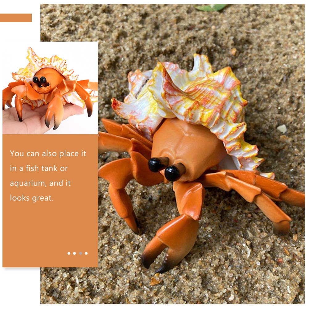 Simulierte Hermitkrabbe Paguri – Marine Aquarium Hermit Crab Bewertung und Preis
