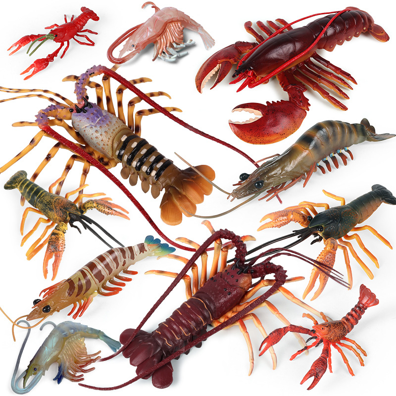 Realistische Meereslebewesen-F – Marine Aquarium Hermit Crab Bewertung und Preis