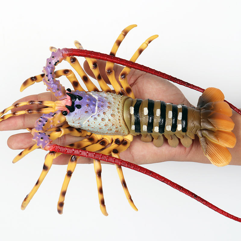 Realistische Meereslebewesen-F – Marine Aquarium Hermit Crab Bewertung und Preis
