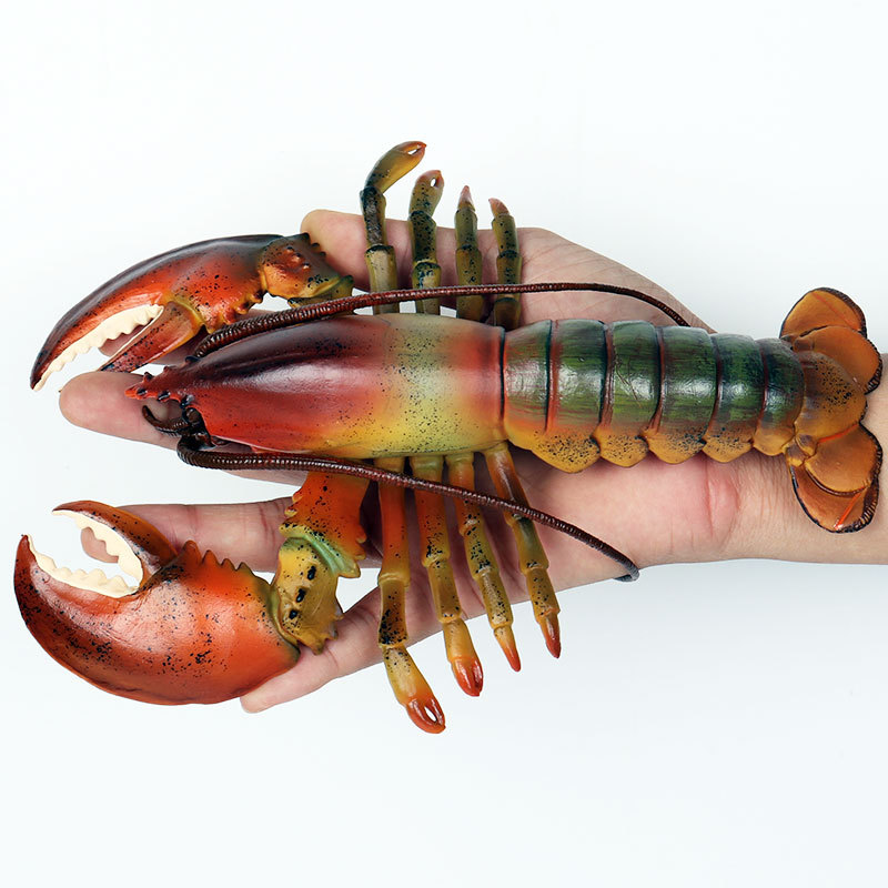 Realistische Meereslebewesen-F – Marine Aquarium Hermit Crab Bewertung und Preis