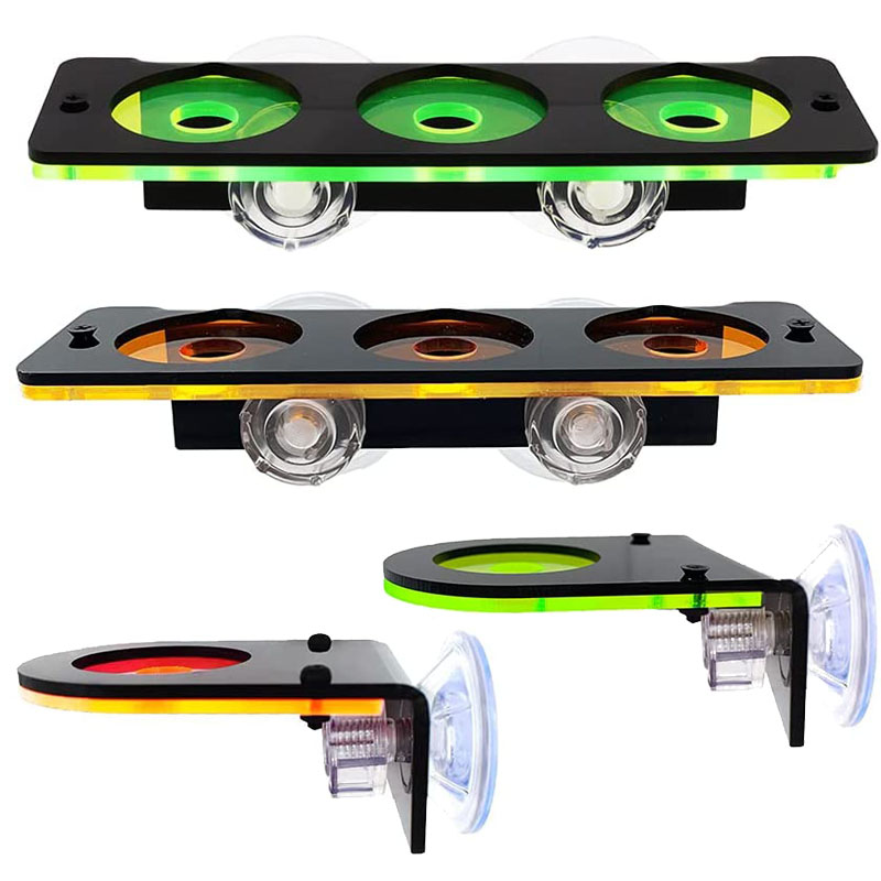 Fluoreszierende Korallen Frag  – Marine Aquarium Design Bewertung und Preis
