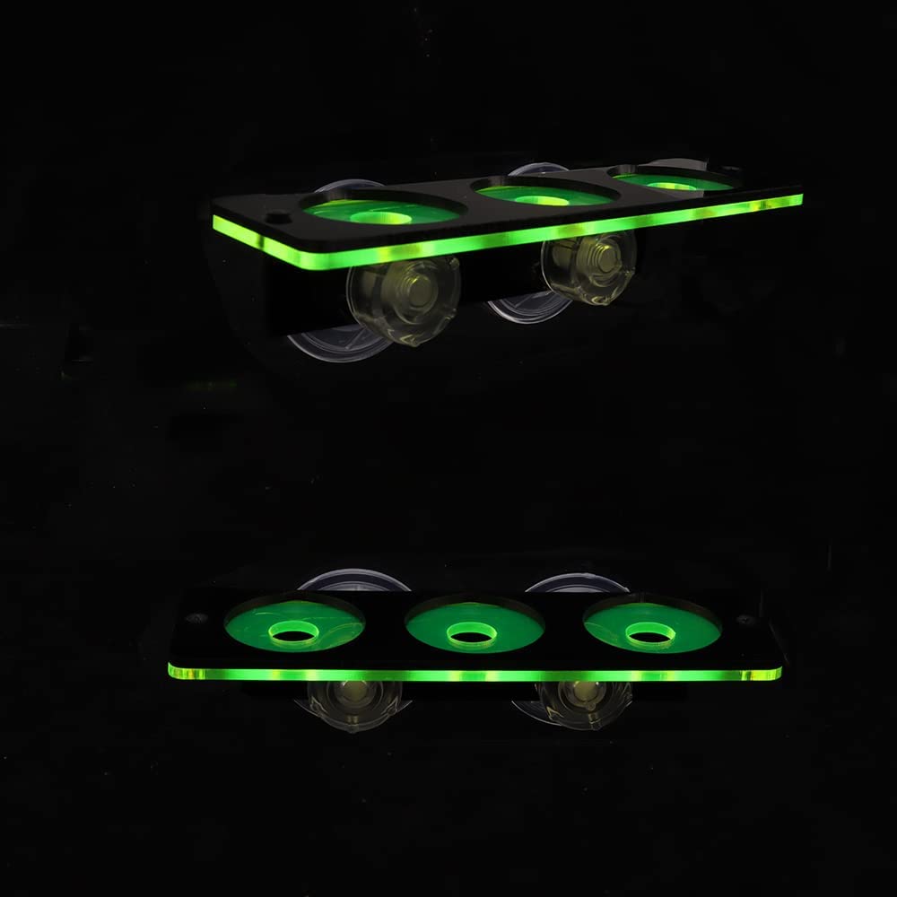 Fluoreszierende Korallen Frag  – Marine Aquarium Design Bewertung und Preis