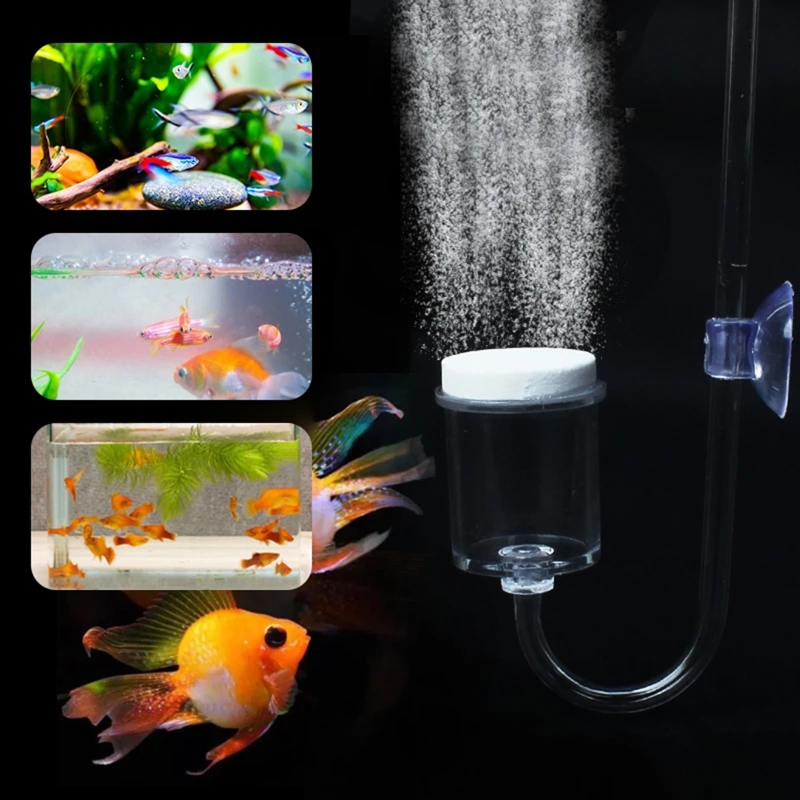 4 stücke Set DIY CO2-Diffusor  – Marine Aquarium Kit Bewertung und Preis