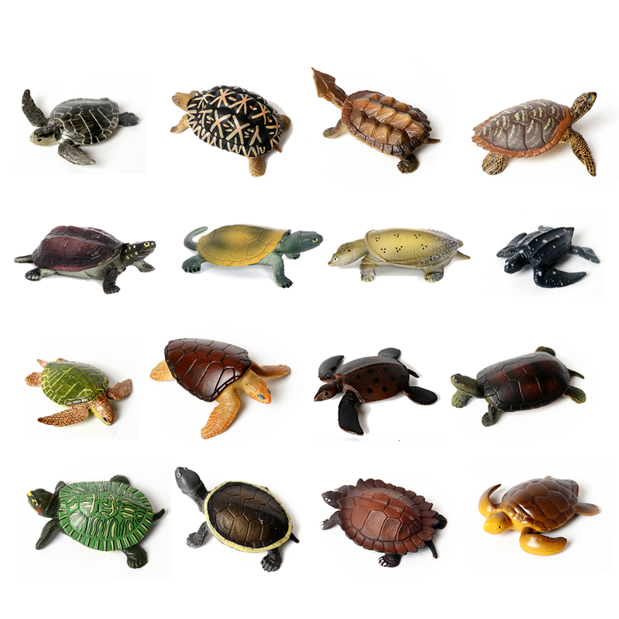 Realistische Miniaturen Meeres – Marine Aquarium & Regional Centre Bewertung und Preis