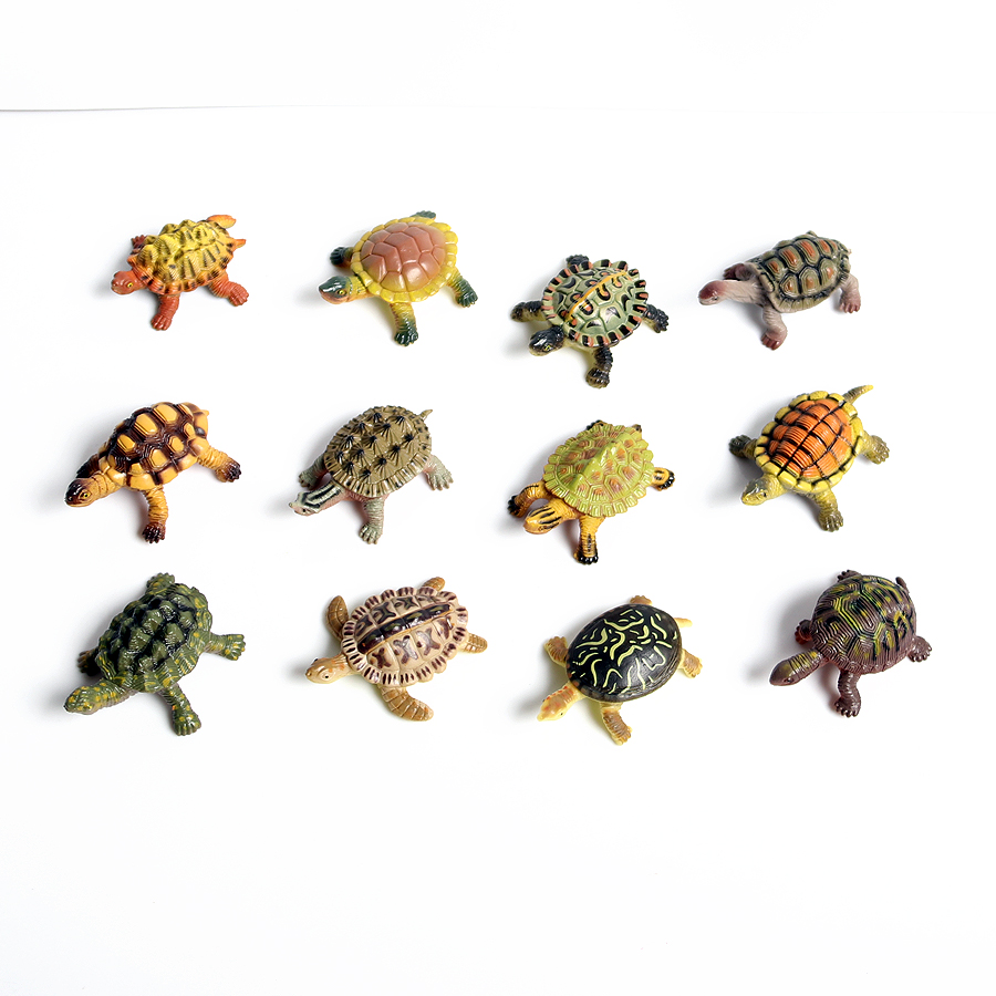 Realistische Miniaturen Meeres – Marine Aquarium & Regional Centre Bewertung und Preis