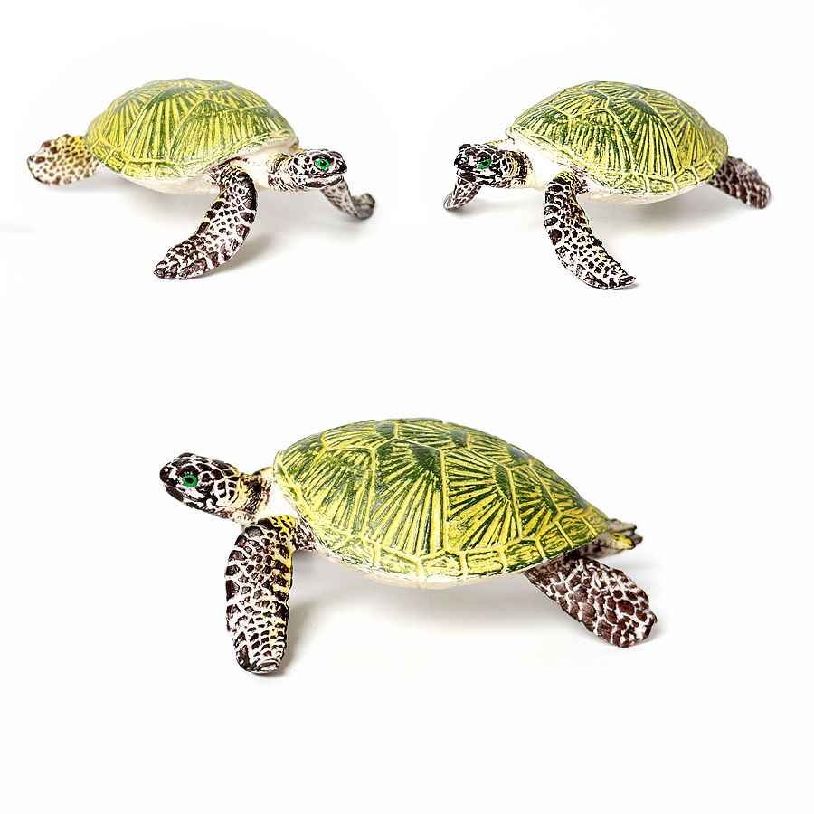 Realistische Miniaturen Meeres – Marine Aquarium & Regional Centre Bewertung und Preis